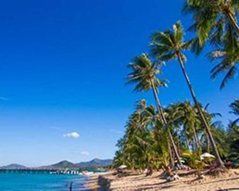 Coco Palm Beach Resort - Ko Samui - Beach