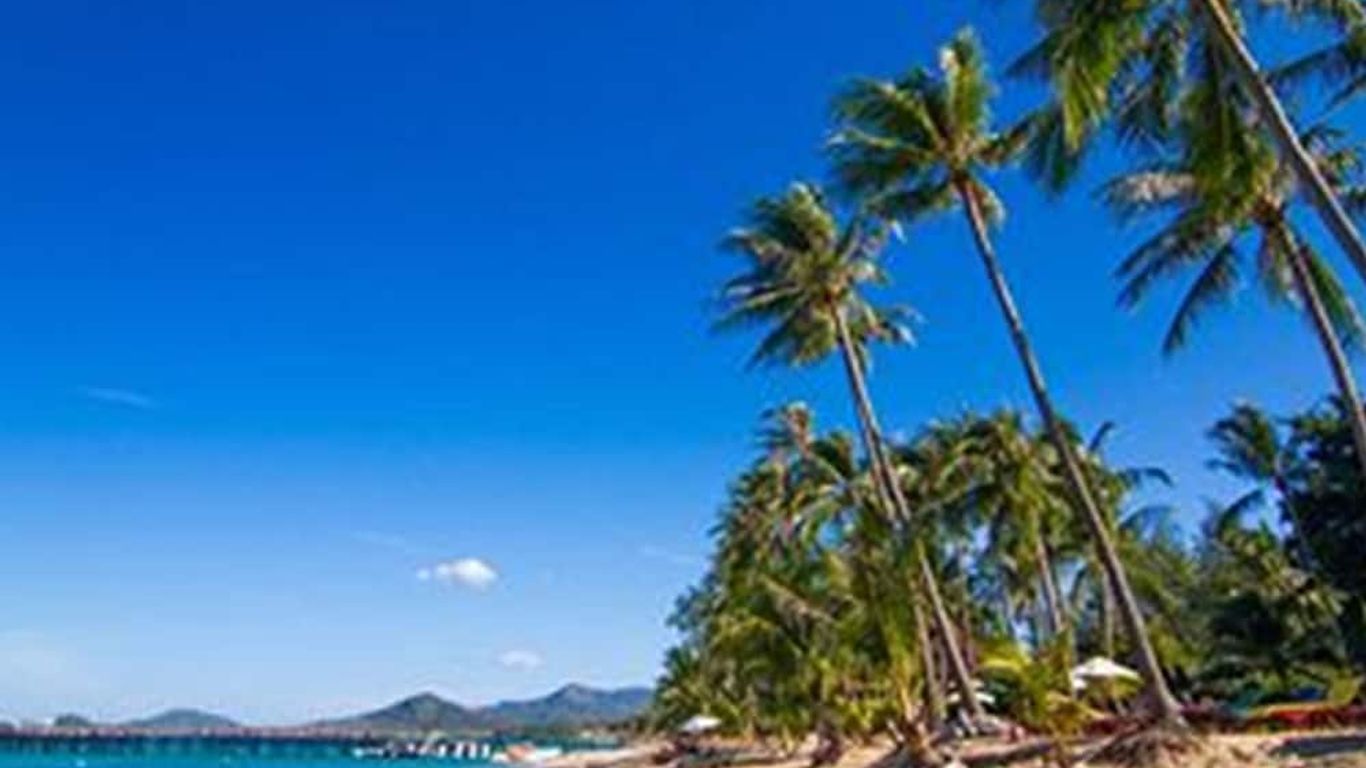 Coco Palm Beach Resort