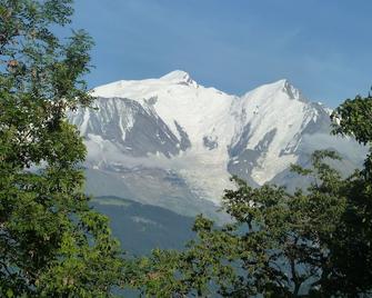 Wood interior studio overlooking Mont Blanc - Combloux - Venkovní prostory