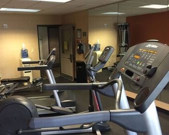 Country Inn & Suites by Radisson, Lansing, MI - Lansing - Fitnessbereich