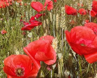 Douvilla - Douville - Edificio