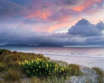 Only 40 metres to the beach! - Ruakaka - Beach