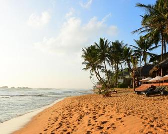 Mali Guest House - Hikkaduwa - Beach