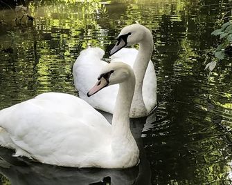 Domaine du Plessis - Chaumontel