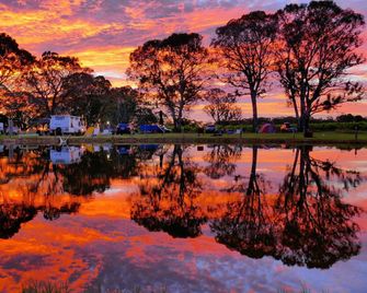 Coonawarra Bush Holiday Park - Coonawarra - Vista del exterior