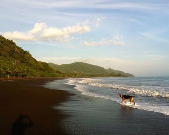 Casa Luna Tropical Beachfront Home At Luna Negra In Beautiful Playa Cambutal - Cambutal - Playa
