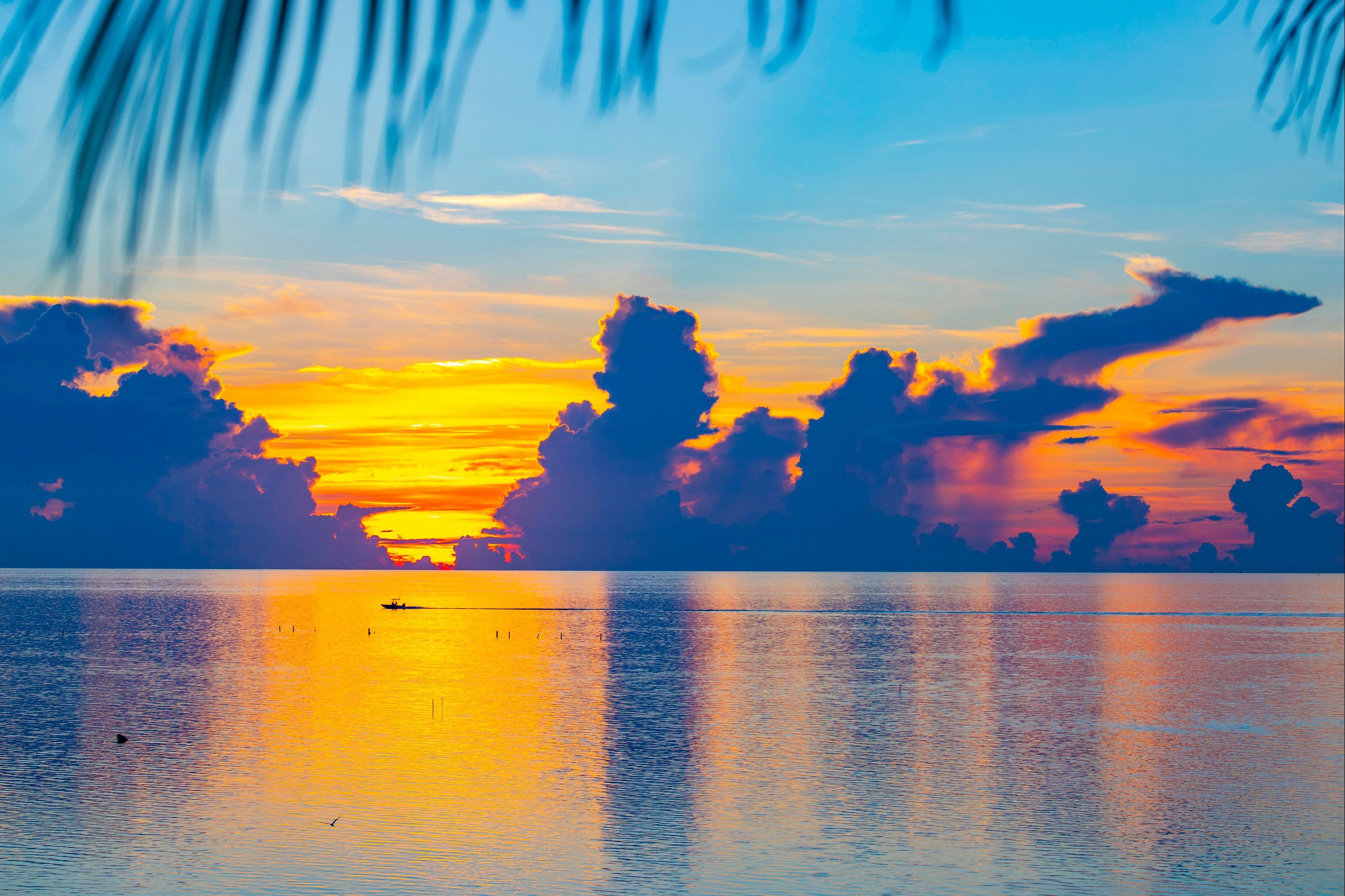 Amara Cay Resort - Islamorada - Plage