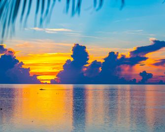 Amara Cay Resort - Islamorada - Praia