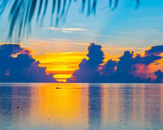 Amara Cay Resort - Islamorada - Plage