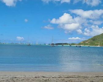 Wild Lotus Villa - Waterfront on Jolly Harbour - Jolly Harbour - Beach