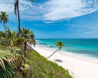 Brand New Oceanfront Home located in the heart of Central Eleuthera W/ Generator - North Palmetto Point - Playa