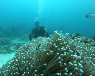 Calypso Beach and Dive Resort - Boracay