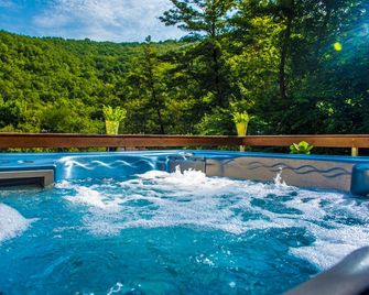 Patak Park Hotel - Visegrád - Spa