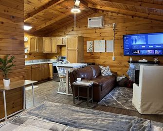 Cozy Perrysburg Cabin - Studio with Fireplace! - Perrysburg - Living room