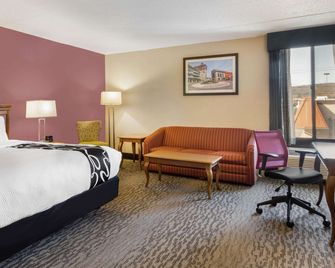 La Quinta Inn by Wyndham Binghamton - Johnson City - Johnson City - Ložnice
