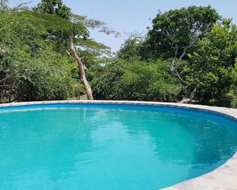 Kingfisher Bush Lodge - Manguzi - Piscine