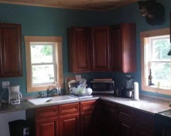 Enchanting pet-friendly and private cabin with cozy pellet fireplace - Putney - Kitchen