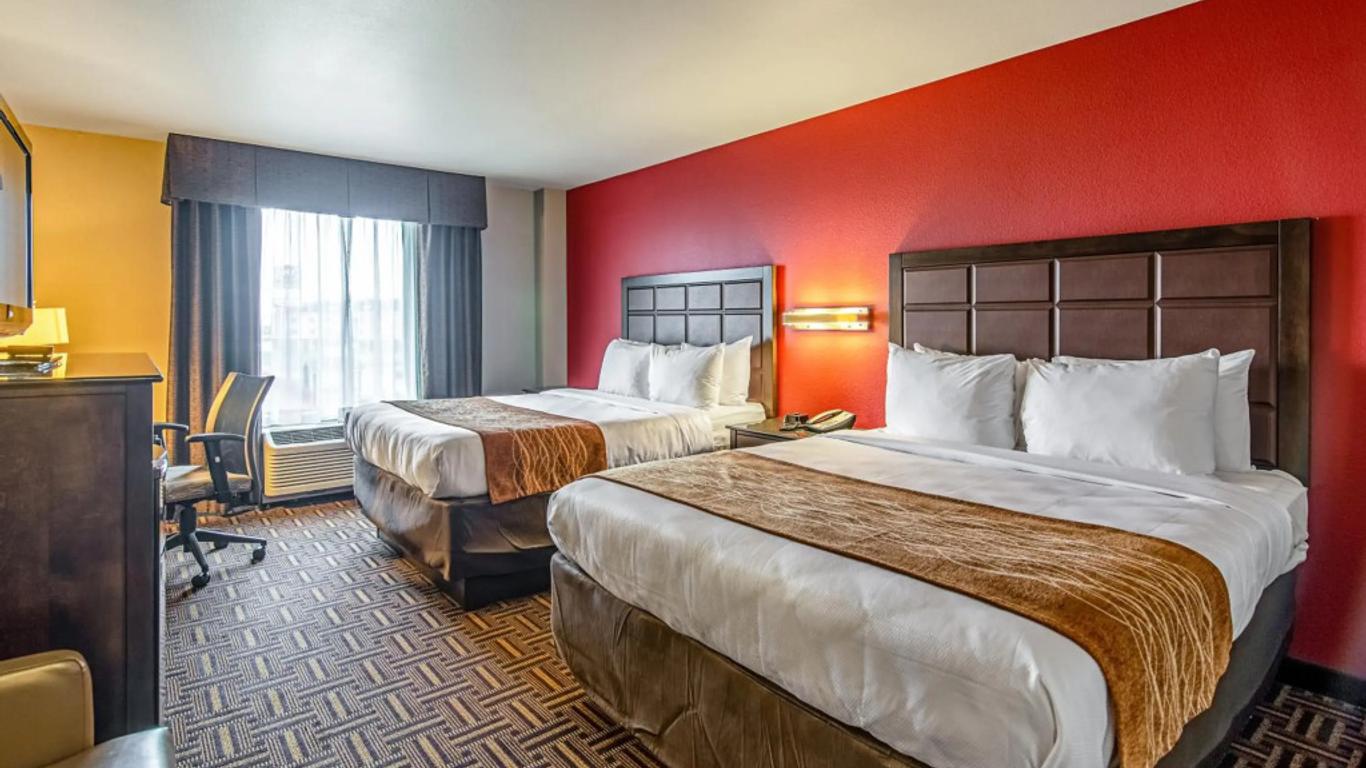 Spark by Hilton Glendive