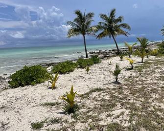 Private Oceanfront Beach Bungalow! Snorkeling Reefs Paddleboarding! - High Rock - Playa