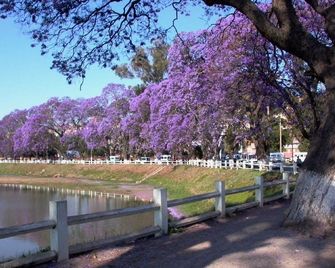 Tana-Jacaranda - Antananarivo - Vista del exterior