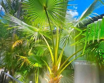 Cypress Caravan Stay - Emerald - Näkymät ulkona
