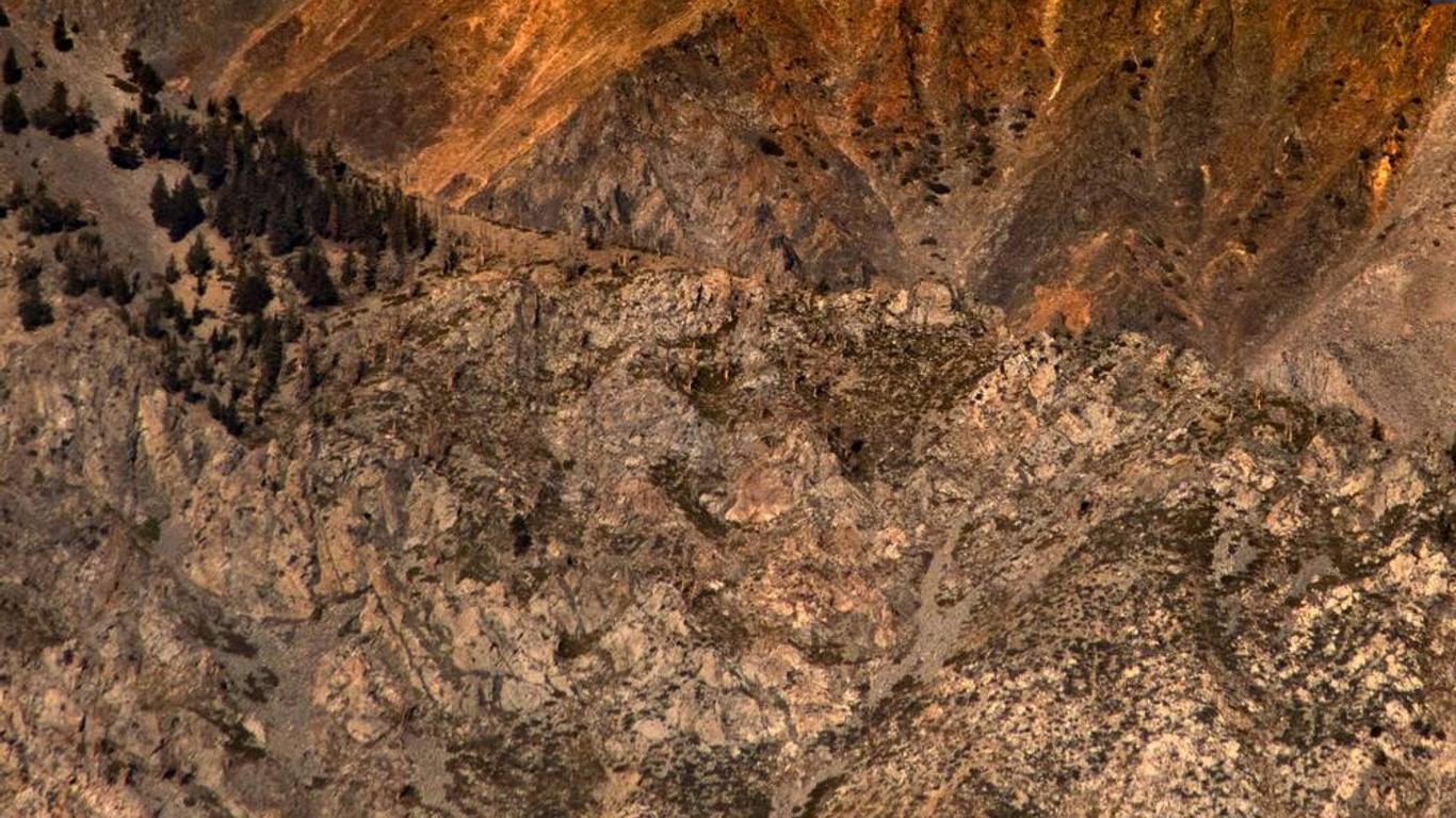 Mt Williamson Motel and Basecamp