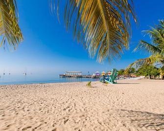 The Great Escape In Belize's Best Tourist Destinations!! - Placencia - Beach