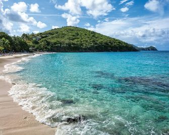 Limetree Beach Resort by Club Wyndham - Saint Thomas Island - Beach