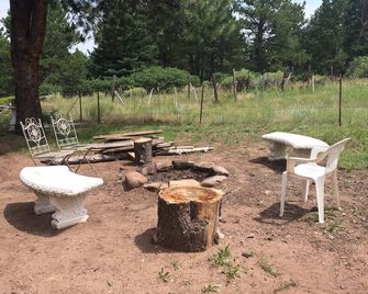 Very Comfortable Peaceful Cabin in the Foothills of the Sangre'near Westcliffe! - Westcliffe - Patio