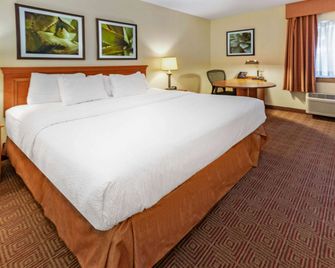 La Quinta Inn & Suites by Wyndham Tampa Brandon West - טמפה - חדר שינה