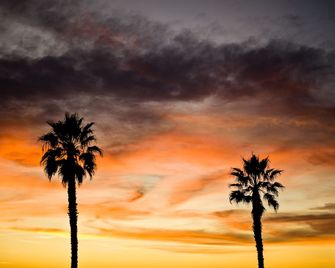 Ocean Park Hotel - Santa Monica - Outdoors view