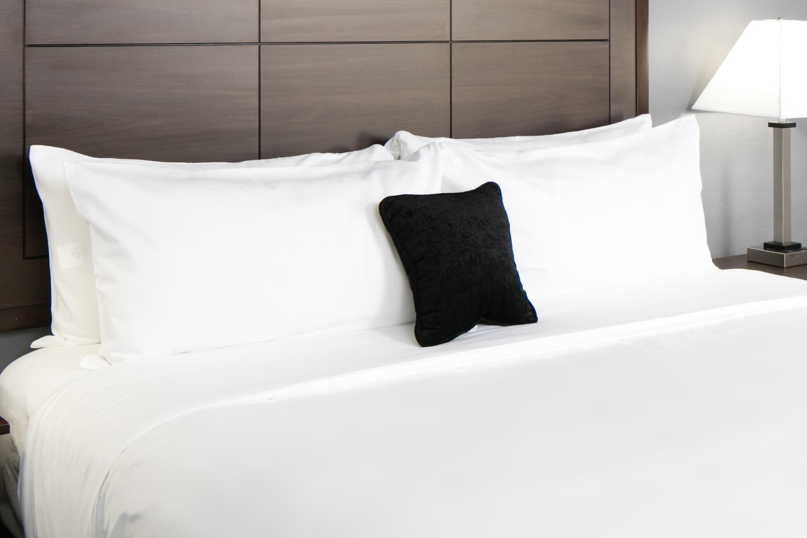 Ramada by Wyndham Houston Intercontinental Airport South - Houston - Bedroom