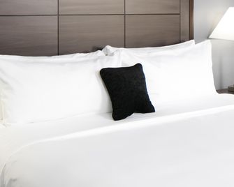 Ramada by Wyndham Houston Intercontinental Airport South - Houston - Bedroom