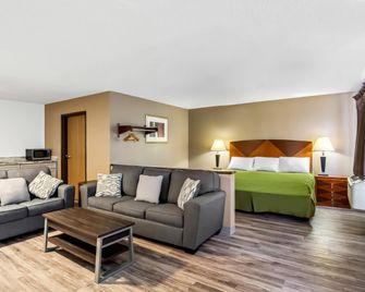 Econo Lodge Inn & Suites Auburn - Auburn - Stue