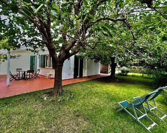 Gelso nero - Barano d'Ischia - Patio