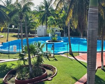 Nirvana Hotel & Hostel - Cancun Hotel Zone - Cancún - Pool