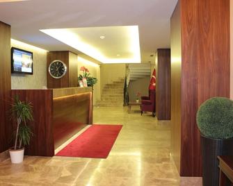 Hotel Osaka Airport - Istanbul - Front desk