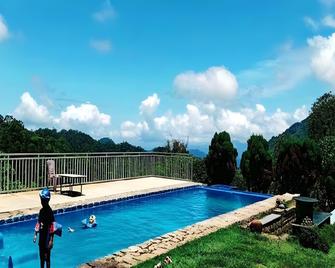 Wild Elephant Eco-Friendly Resort - Munnar - Pool