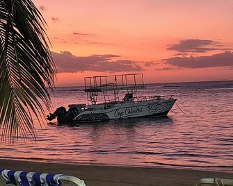 Beachside 1 Bedroom Apartment with Ocean View, Garden and 2 Swimming Pools - Las Terrenas