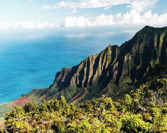 Charming corner unit at Sealodge - atop the cliffs on North Shore of Kauai. - Princeville - Beach