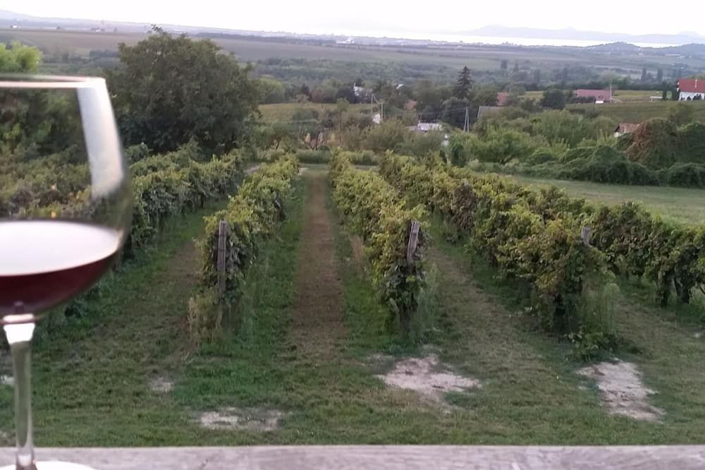 Szatmári Vendégház - Balatonlelle - Vista esterna
