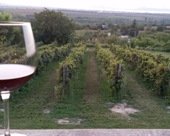 Szatmári Vendégház - Balatonlelle - Vista esterna