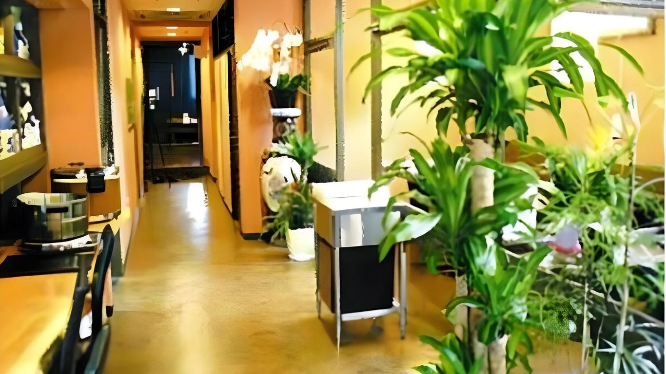 Business Hotel Vivi