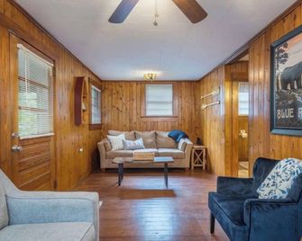 Welcome Back! Cozy Cabin in Chimney Rock! Short walk to town! - Lake Lure - Obývací pokoj
