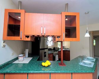 Modern Stylish Apt in Secure Area in San Salvador - San Salvador - Kitchen