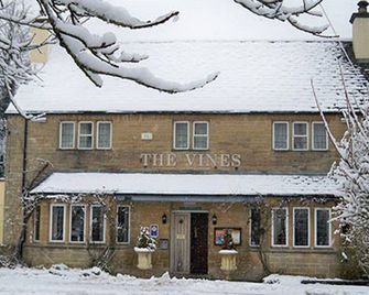 The Vines - Oxford - Building