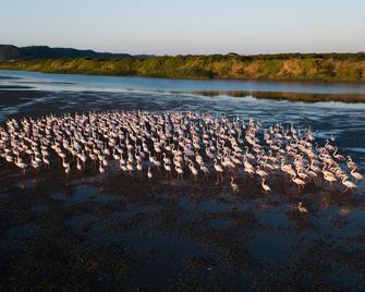 Pelican's Nest Holiday Home St Lucia - Saint Lucia - Plaj
