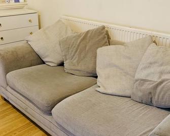 Room Available in shared house 5 minute walk from town - Cardiff - Living room