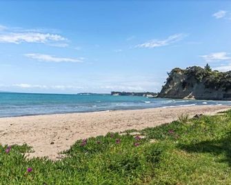 Stunning modern beachfront apartment - Whangaparaoa - Playa