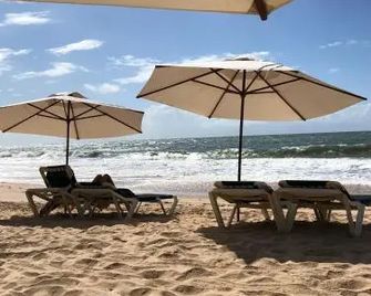 O Paraíso que você merece - Praia do Forte - Beach